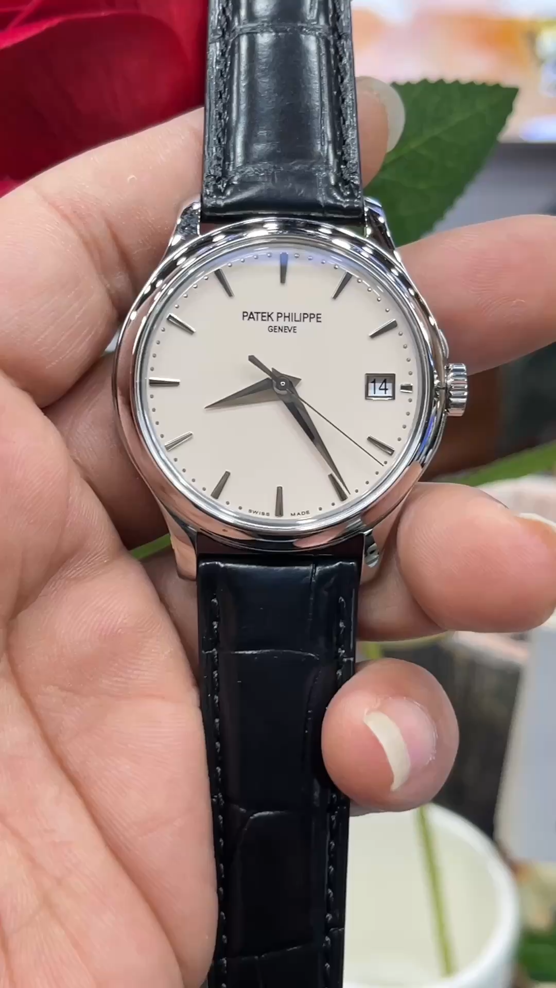 Wrist-hand video of the Patek Philippe Calatrava 5227G-001 showing the dial under natural light. - Video