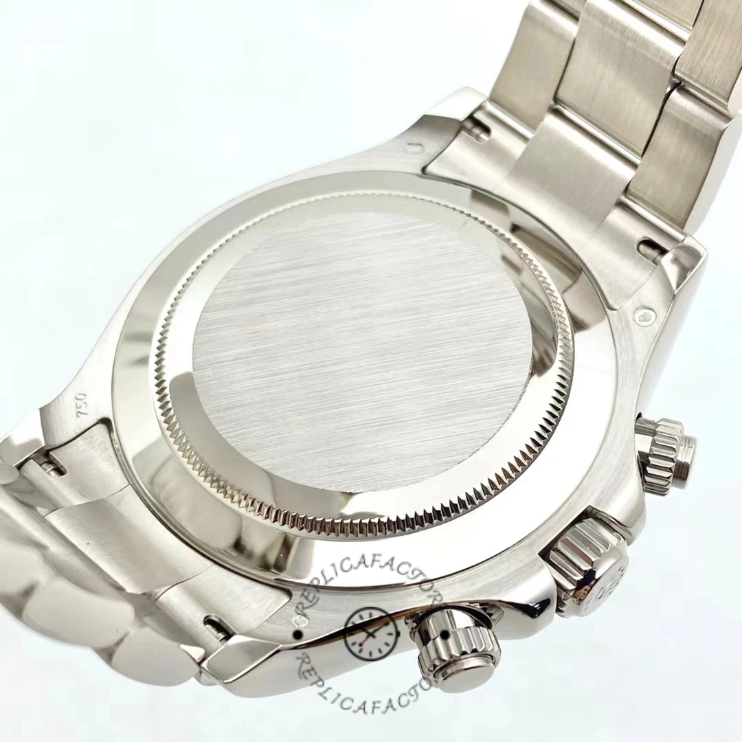 Rolex Daytona 116509 case back view, smooth back and bracelet attachment shown.