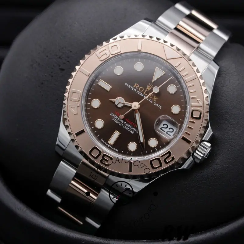 Rolex Yacht-Master 268621 studio shot, chocolate dial and Everose bezel, rolesor bracelet.