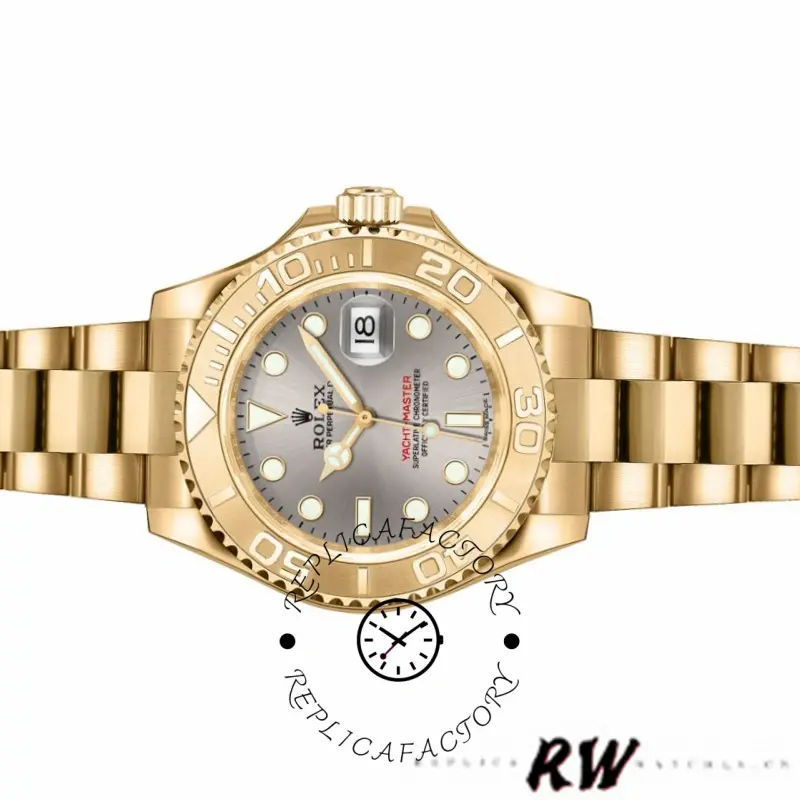 Rolex Yacht-Master 169628 front view on white, grey dial and gold bezel, bracelet display.
