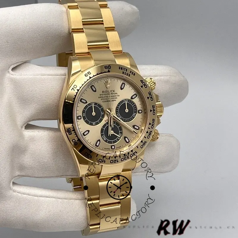 Handheld view of Rolex Daytona 116508 on glove, champagne dial and gold bracelet.